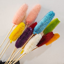 永生拉毛果干花 长寿果蓟果云南自然干花ins家居摆设装饰拍摄道具