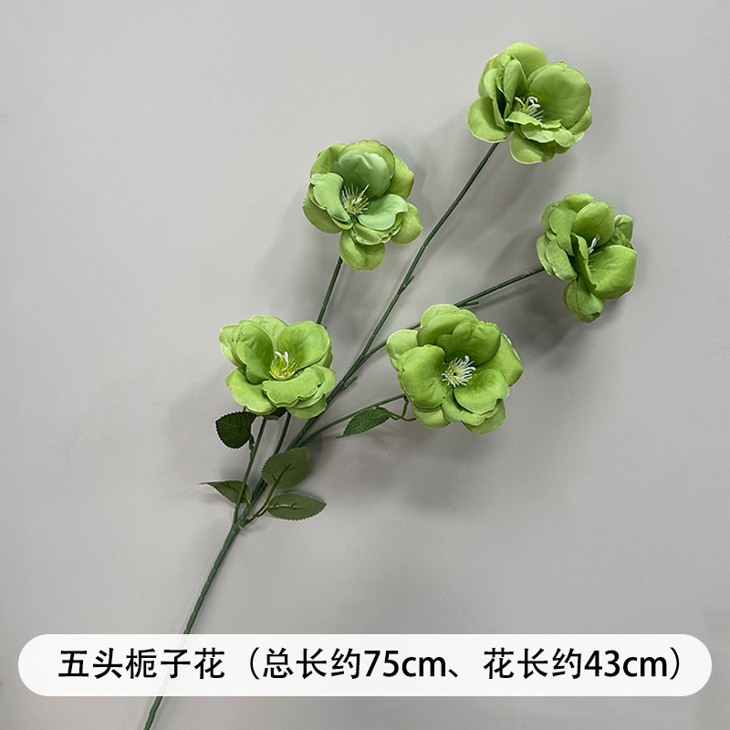 芦荀草绿植花龙须草假花白绿森系婚庆装饰自然风背景插花路引|undefined