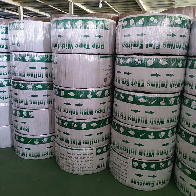 8efa876d-b74a-4c07-83d1-7f46da