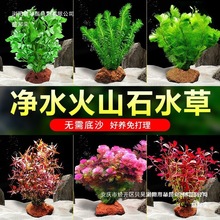 ˮ��ֲ���~���쾰��ɽʯ���ˮ������ˮ����ԾG�Ճ���ˮ�|�ײ�