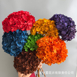 ���ӹ����ơ���������ɫ���~������Ʒ��֧����Ҿ��b�c�Ĕz