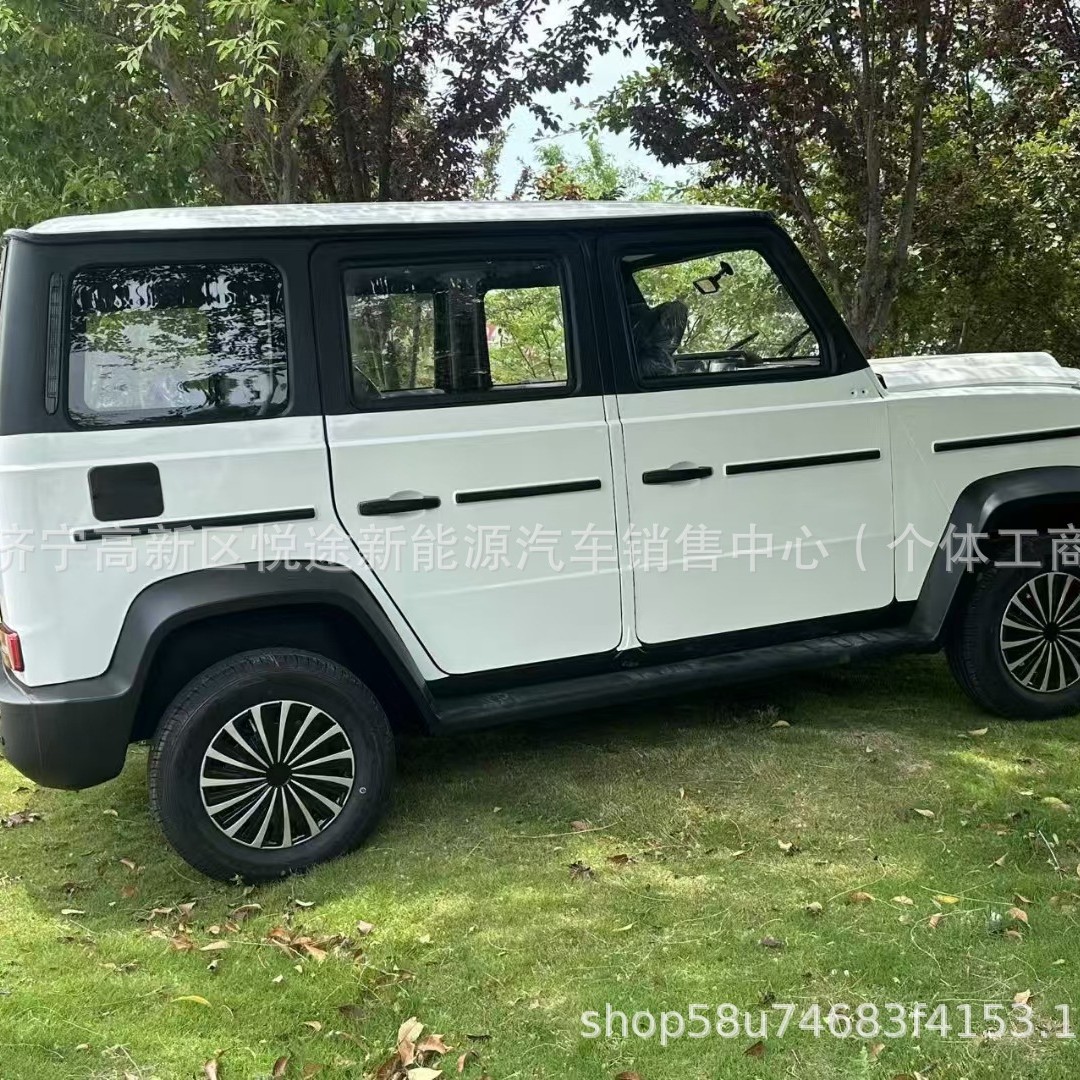 四轮电动车家用新能源汽车油电两用电动轿车全封闭式电动车电瓶车