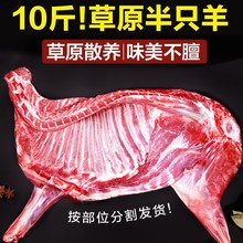 �������r�F����ȫ����ֻ������ɹ�����10����������ϐ�����r���l