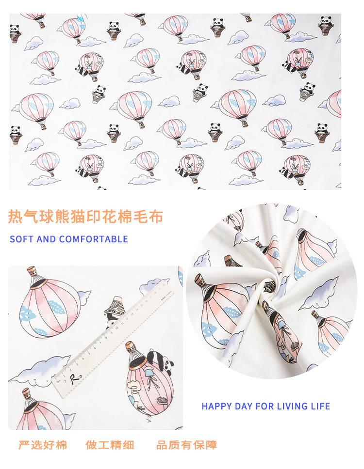 热气球熊猫.jpg