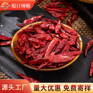 ���콷�ɺ��|�����������������ɏS��ֱ�l