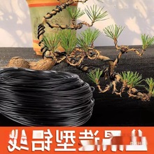 �辰�������z�_�h�������X���@�֘������Ͷ������F�zܛ�X�z�@ˇ��