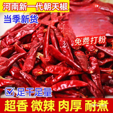 新一代干辣椒微辣特香辣椒段干货小米辣椒三樱椒河南朝天椒500g