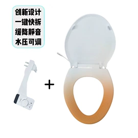 普通马桶盖;智能马桶盖;移动马桶