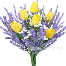 ��������������޹�²ݽM��12֧����  �ҾӲ��������b[��������