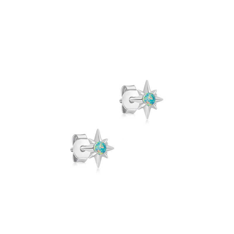 Fashion Star Sterling Silver Ear Studs Plating opal 925 Silver Earrings