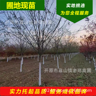 �������ǘ�1-25���֖|�����v����Ҏ��ȫ���������е��䅲��ɽ���v