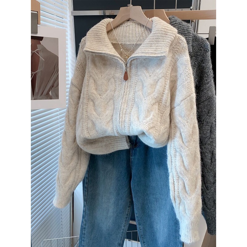 High-Neck Zipper Sweater Women's Jacket Spring, Autumn and Winter New Loose Outer Wear New Cardigan with Thick Bottoming Shirt