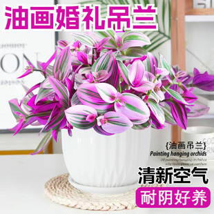 �ͮ���Y���m������֬녶���ֲ���k���҃Ȼ�������ˮ��Gֲ����