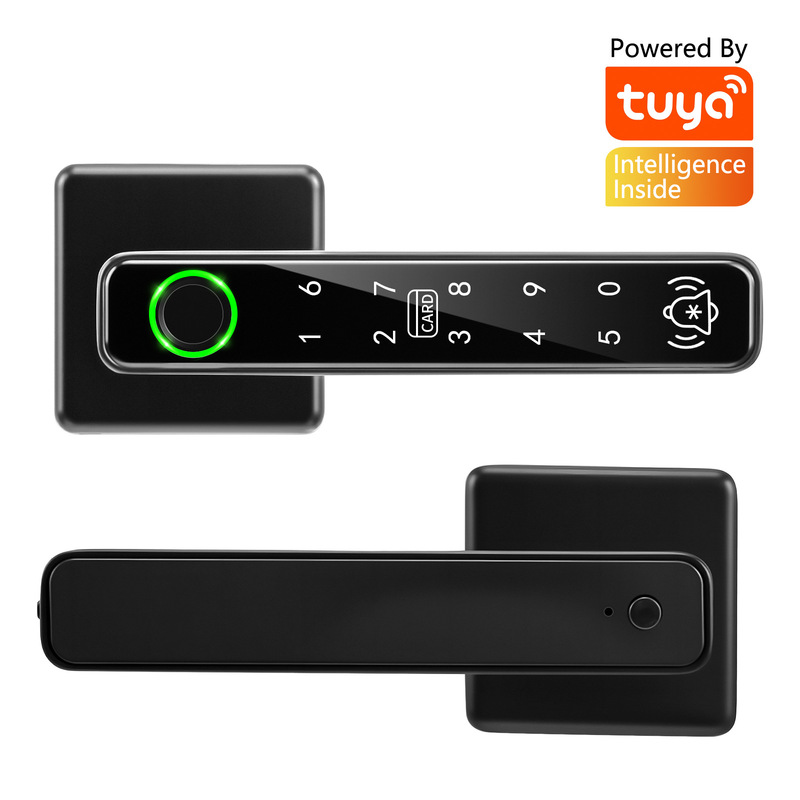 Spherical Password Lock Graffiti Smart Lock Home Electronic Lock Office Apartment Lock One-Grip Wooden Door Fingerprint Lock Cross-Border