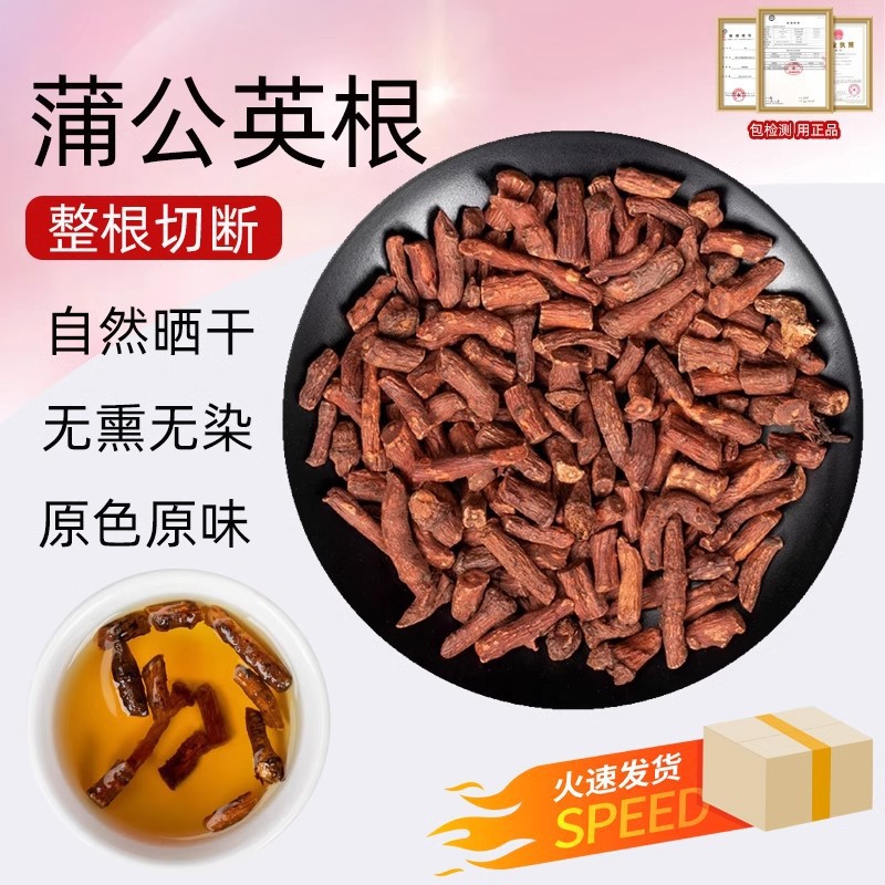 蒲公英根茶东北土特产鲜婆婆丁大段散装500克莆公英根药材