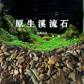 栽培基质;猫砂;造景/装饰
