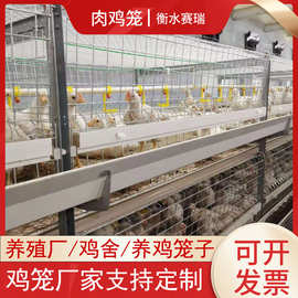 热镀锌三层肉鸡笼 框架肉鸡笼 全自动肉鸡笼 养殖场用自动肉鸡笼