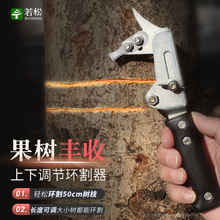 �h������������֭h��������h�е��Ҙ������֦��֦�h�Ƥ��