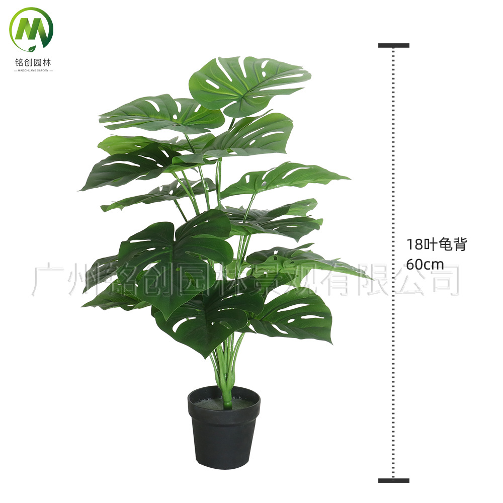 Paisaje interior del suelo, planta pequeña de hoja grande, planta pequeña, planta de taro de hadas, 60cm, planta verde de simulación de monstera, planta pequeña en maceta image 6