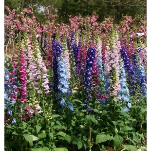 �������N�� �������޸��ͺ������ļ��׷N�@�־��^���� ���ȶ��N��