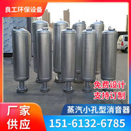 小孔消音器 氮气蒸汽排汽消音器 放空放散 排气喷流消音器消声器