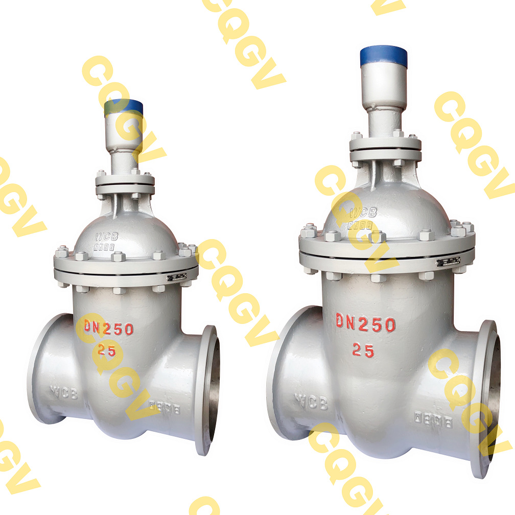 FDZ65H-25C,FDZ65H-16C,FDZ65W-16P,FDZ65W-25P防盗锁闭闸阀