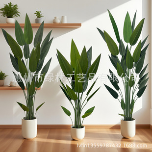 ֲ˽ͱWb˽Ԕ[͏d[ֱN