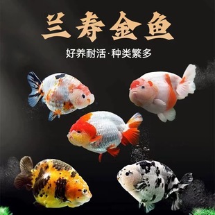 �m��ˮ��������~С���~���^�p�~�ͻ���ˮ�~����С�͵�ˮ���B�׻�