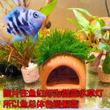 �^�p�~���w�~�����W�^�~�����~�����~�÷�ֳ���~��ˮ�~��ȸ�~���]