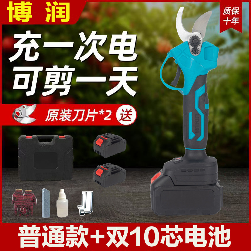 プロの国境を越えた電動剪定鋏、リチウム電池剪定鋏、庭の果樹の果実の枝はさみ、園芸の枝剪定電動工具|undefined
