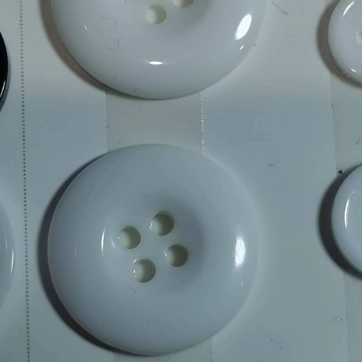 2024-02-04 21:04:36.jpg