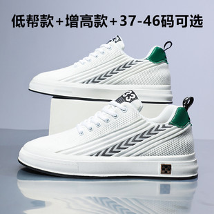 �羳�w����Ь�W��Ь��ĥ�\�����eЬ�[�΃�����6cm������Ь8cmЬ��