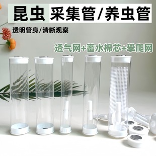 Transparent Insect Collection Tube Bamboo Insect Tube Breathable Jar Outdoor Collection Bottle Butterfly Firefly Bamboo Insect Box Insect Raising Tube