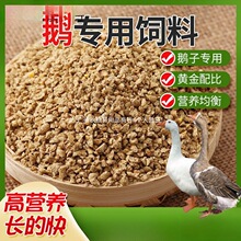 厂家斤鹅饲料喂鹅小鹅开口肉鹅育肥颗粒全价料养殖场专用批发中国