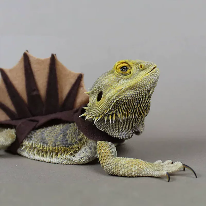 Amazon New Lizard Chameleon Transformer Funny Clothing Small Pet Dinosaurs Funny Accessories