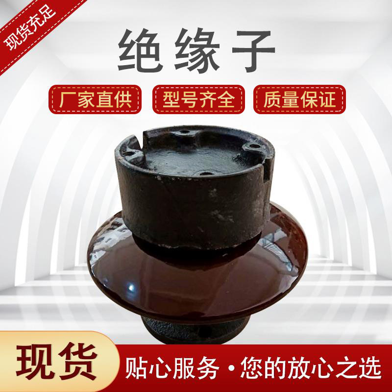 电站用针式支柱绝缘子电解铝厂用电解槽支撑绝缘子ZPD-10  ZPD-35