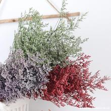 ˲ ϱrɻҾbdiy廨 滨l