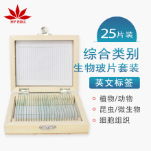 ��Ҷ���� Ӣ�ı�ǩ�ۺ�������ﲣƬľ�ʺ�װ��Ƭ�걾25Ƭ��װ