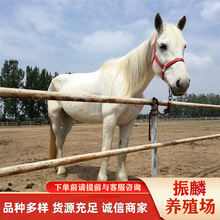 �㘷�����RʲôѪ�y�ĺ� ��Ѫ�R ���a��Ѫ�R ��Ѫ�R �����R����