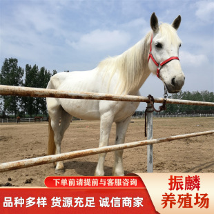 �㘷�����RʲôѪ�y�ĺ� ��Ѫ�R ���a��Ѫ�R ��Ѫ�R �����R����