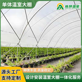 批发单体蔬菜种植大棚骨架 恒温薄膜大棚拱棚 农业遮阳温室大棚