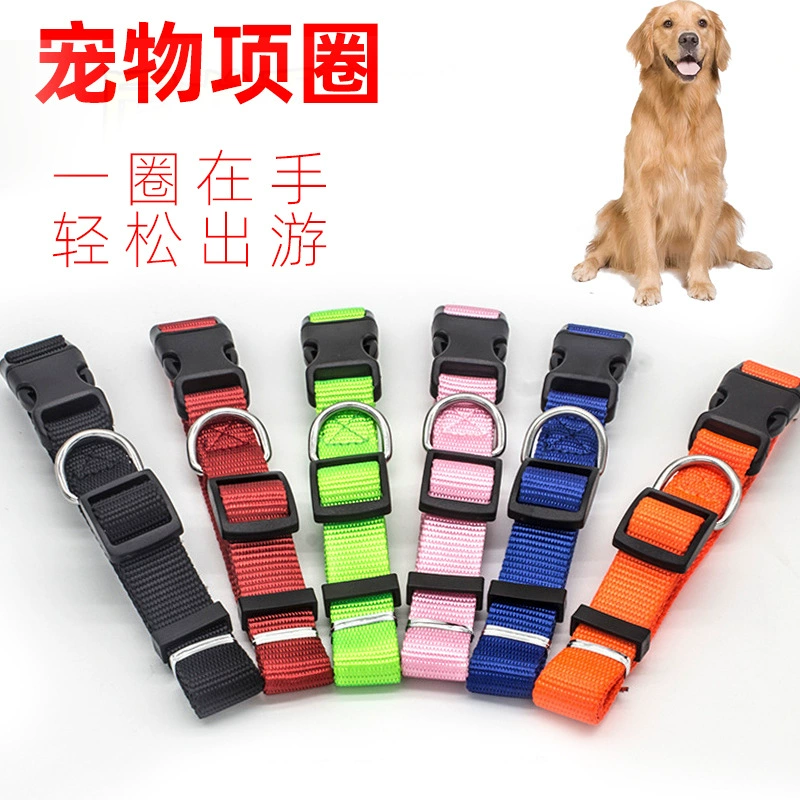 Завод прямой 2020 новый ошейник для домашних животных нейлоновый ошейник для собак кошачий ошейник в наличии оптом