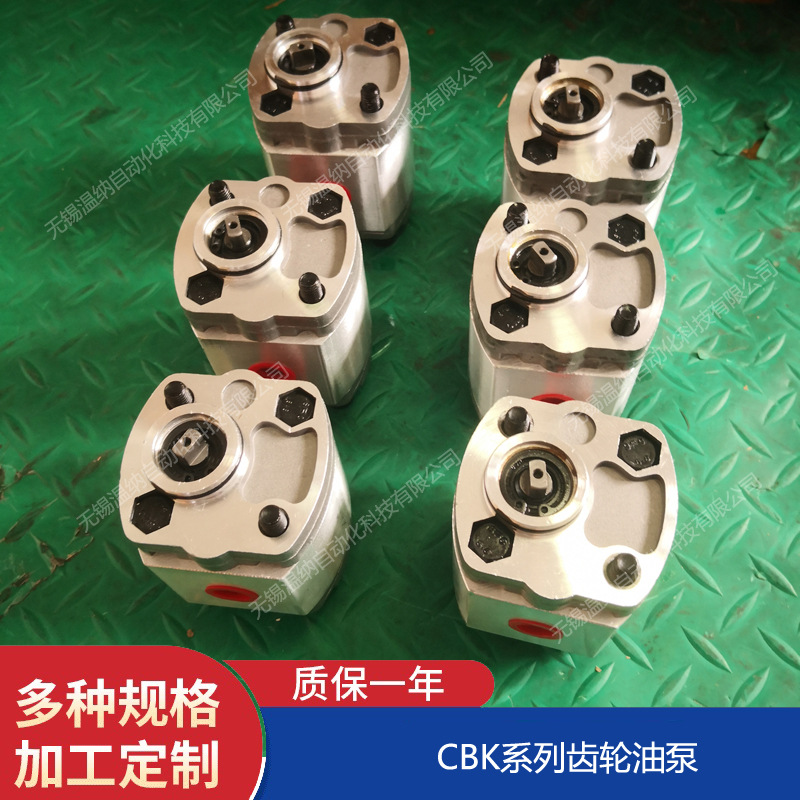 CBK-0.75F,CBK-F0.75F,CBK-F0.75动力单元高压齿轮泵