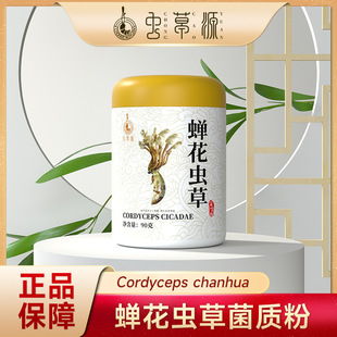 �s���x�ݷ� ���|�� ���r���� ΢���� ��ȫ���� �I�B�o��ș���`֥