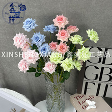 6�^С��õ��c�b��Ļ����������滨�Ҿ�ܛ�b���컨���l