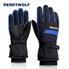 Winter ski keep warm gloves, motorcycle, waterproof cold-proof non-slip electric car electric battery, increased thickness