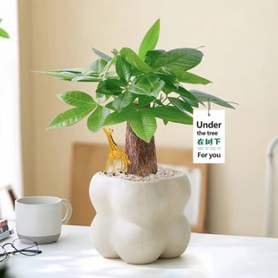 �lؔ���҃ȾGֲ����ȩ�����՚�������B�ļ����౱�W�≺����