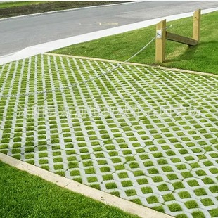 Special Lawn Seeds for Parking Lot Grass, Suitable for Dwarf Grass, Grass Bricks, Heat-Resistant, Trample-Resistant, Evergreen, and Trample-Resistant Lawn