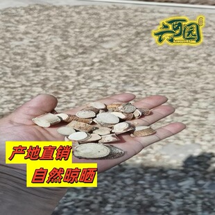 ���Ɉ@��ָë����ș�����l�����߹ٷ���Ş����ș��Ұ����Ʒ���Ҝ�