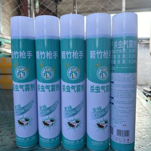 Powerful Insecticide Spray Is Highly Effective in Killing Flies, Mosquitoes, Cockroaches, Ants and Other Pests, Suitable for Bedrooms, Kitchens and Hotels
